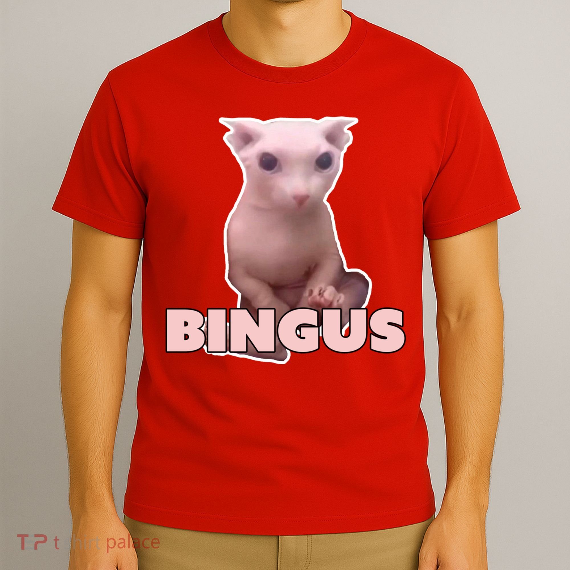 Funny Bingus Cat Meme T-Shirt