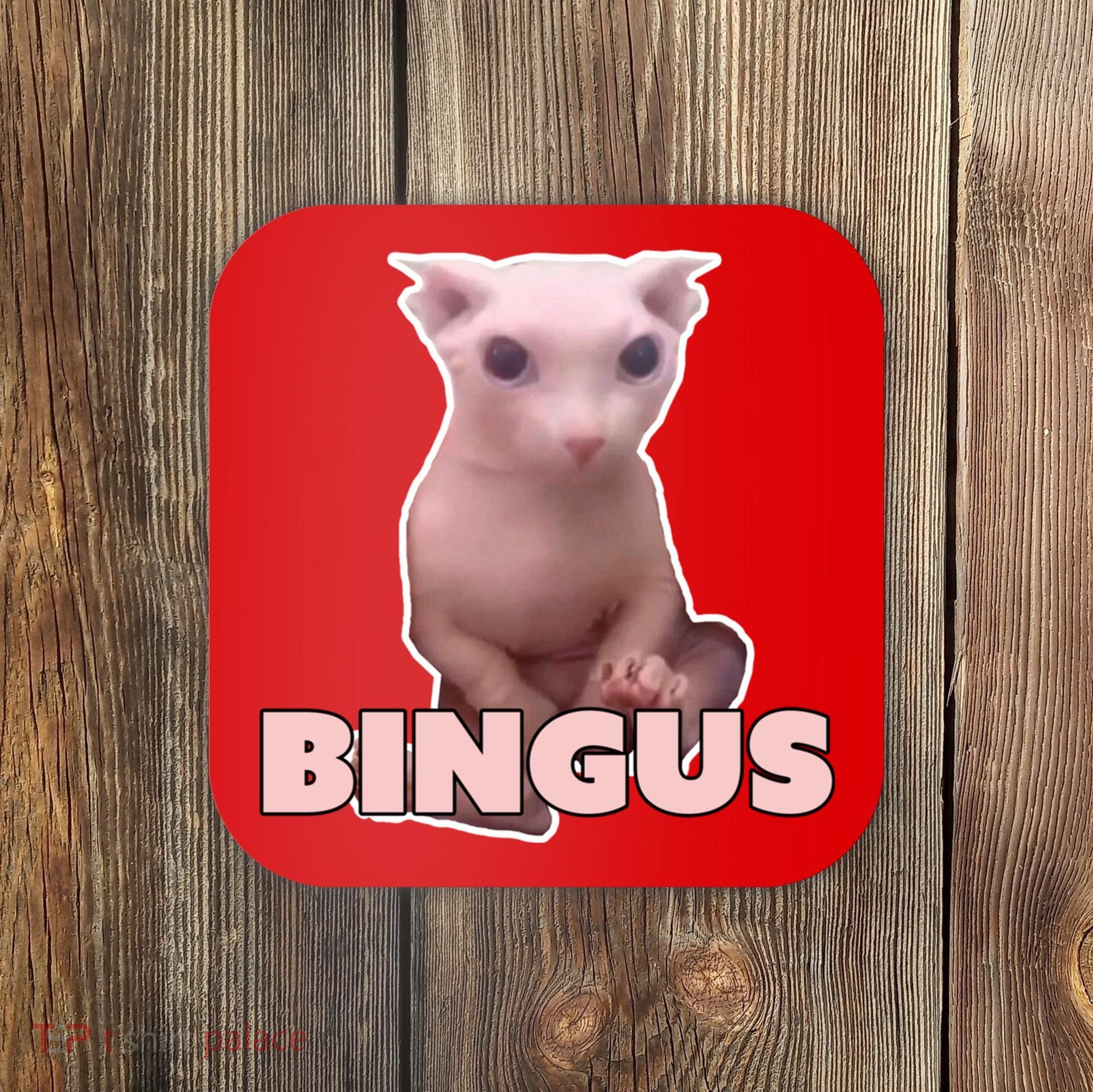 Funny Bingus Cat Meme Coaster