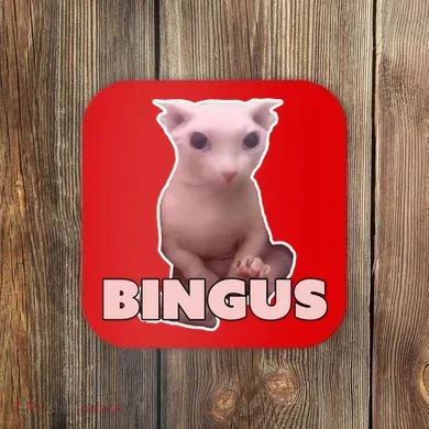 Funny Bingus Cat Meme Coaster