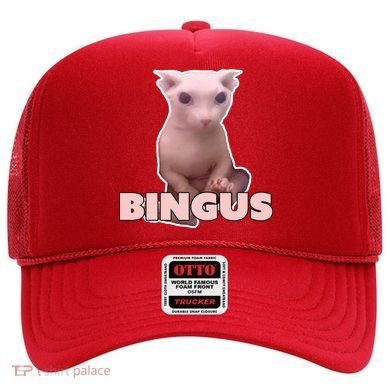 Funny Bingus Cat Meme Hat