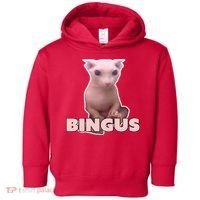 Funny Bingus Cat Meme Toddler Hoodie thumb 0