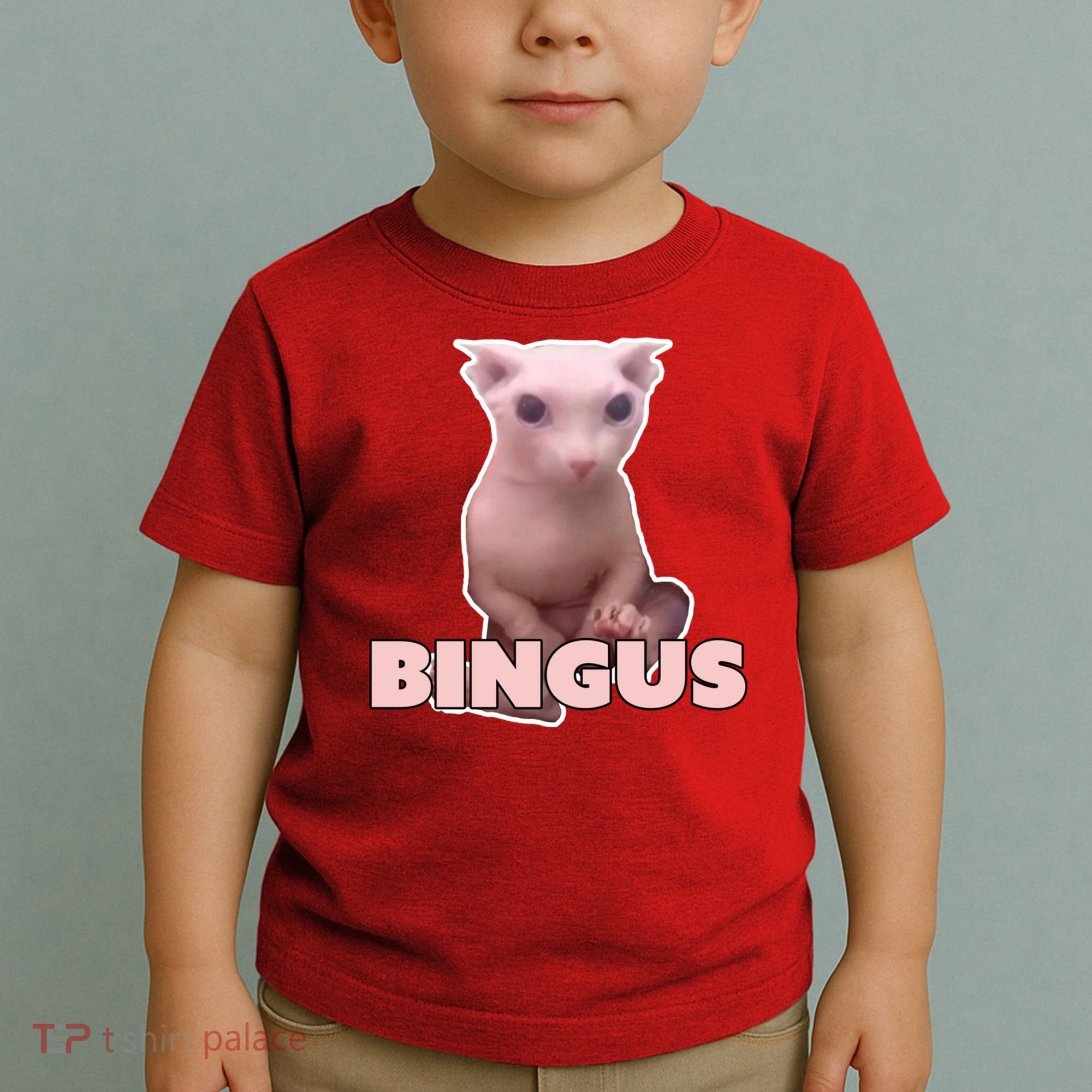 Funny Bingus Cat Meme Toddler T-Shirt