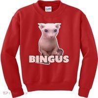 Funny Bingus Cat Meme Kids Sweatshirt thumb 0