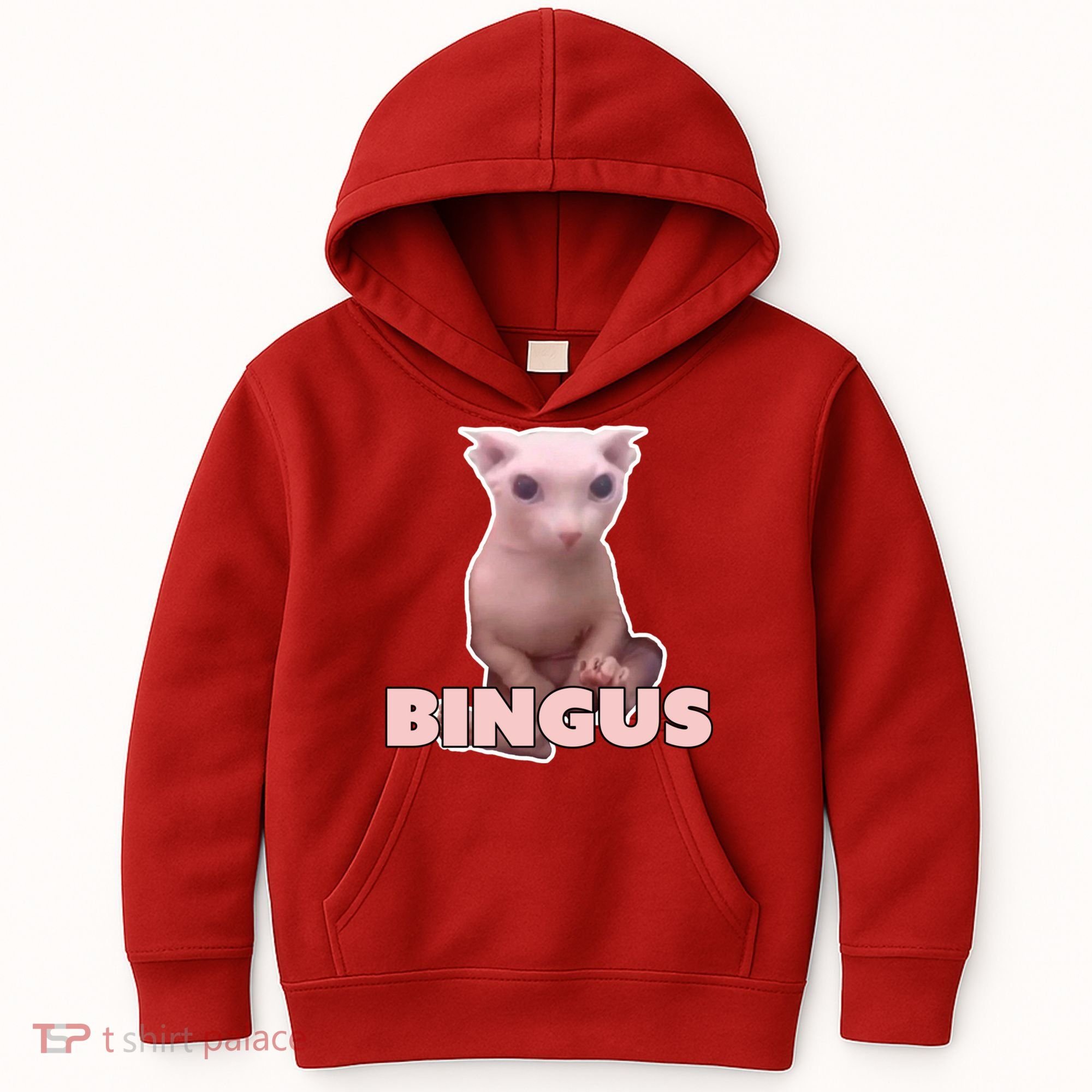 Funny Bingus Cat Meme Kids Hoodie