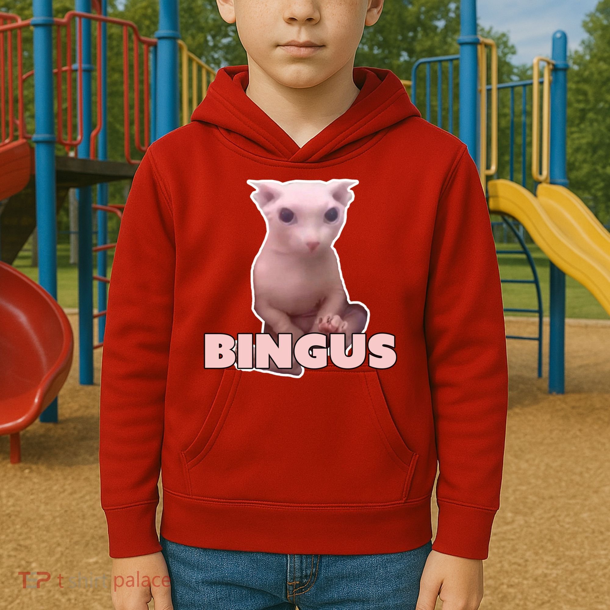 Funny Bingus Cat Meme Kids Hoodie