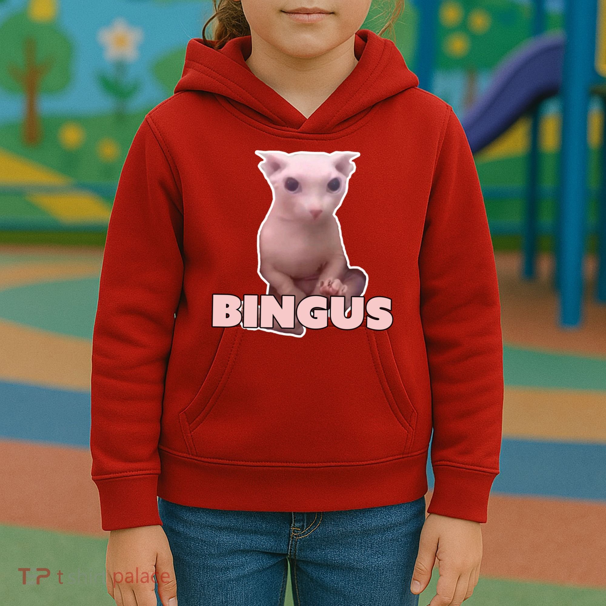Funny Bingus Cat Meme Kids Hoodie