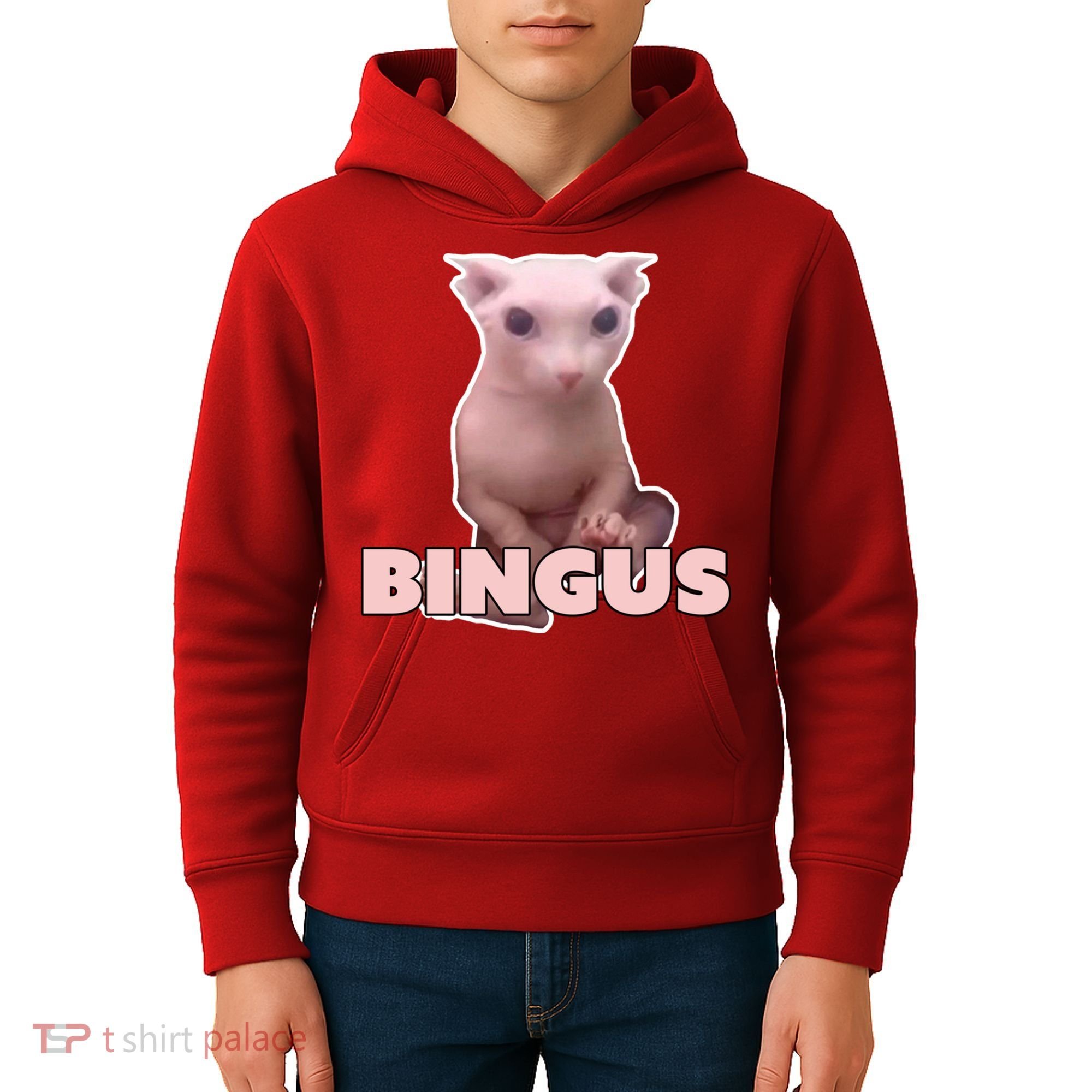 Funny Bingus Cat Meme Kids Hoodie