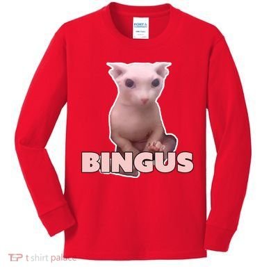Funny Bingus Cat Meme Kids Long Sleeve Shirt