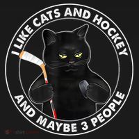 Funny Black Cat I Like Cats And Hockey And Maybe 3 People Gift Bucket Hat thumb 4