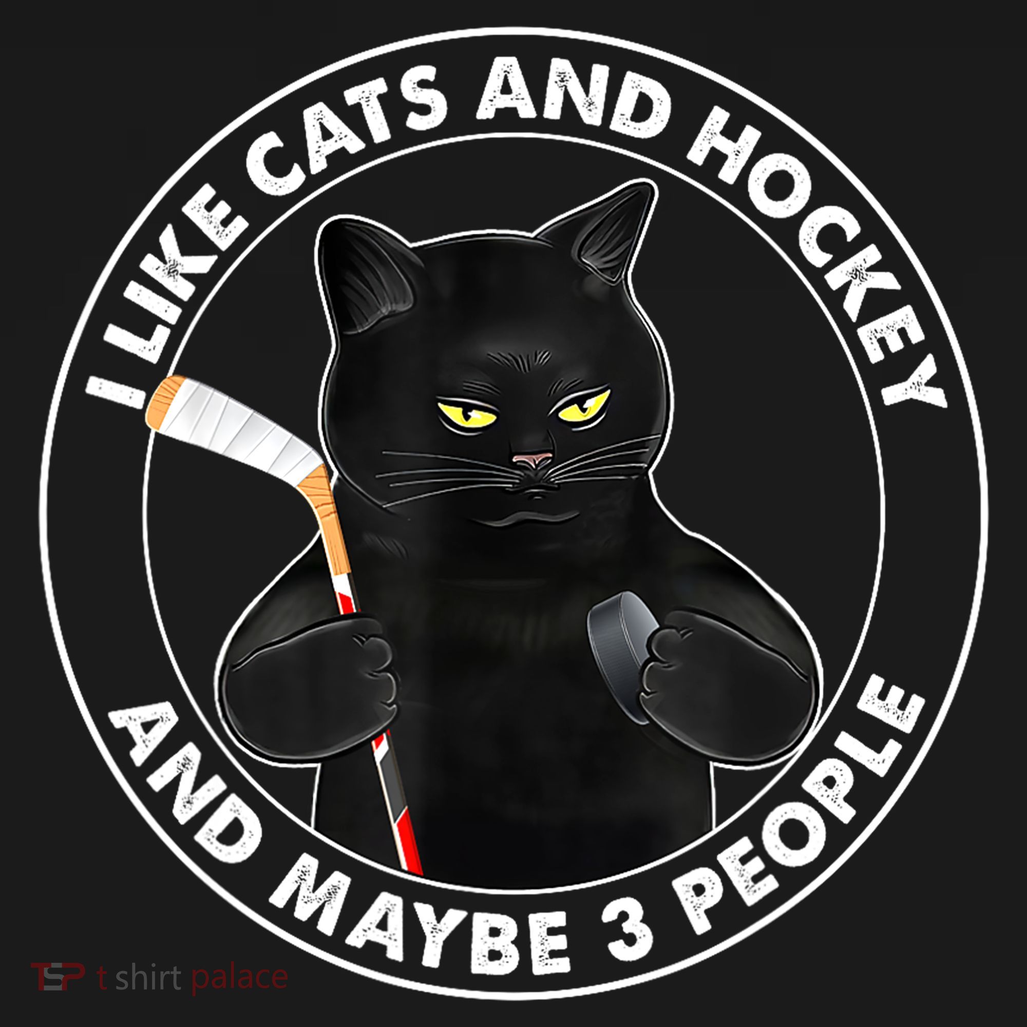 Funny Black Cat I Like Cats And Hockey And Maybe 3 People Gift Ornament