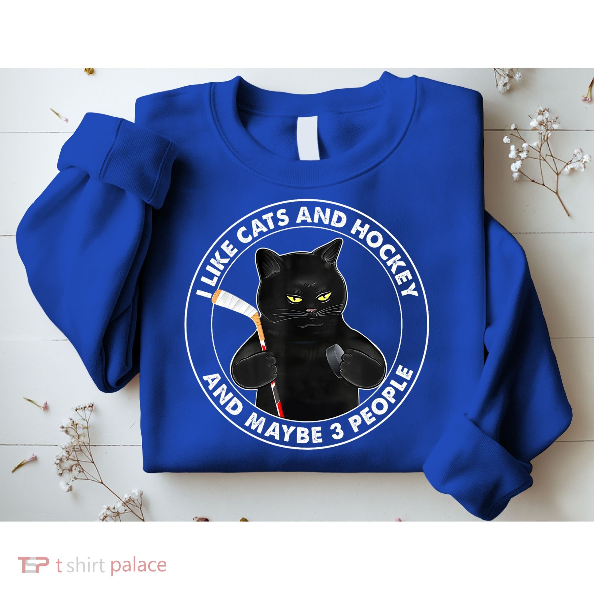 Funny Black Cat I Like Cats And Hockey And Maybe 3 People Gift Sweatshirt