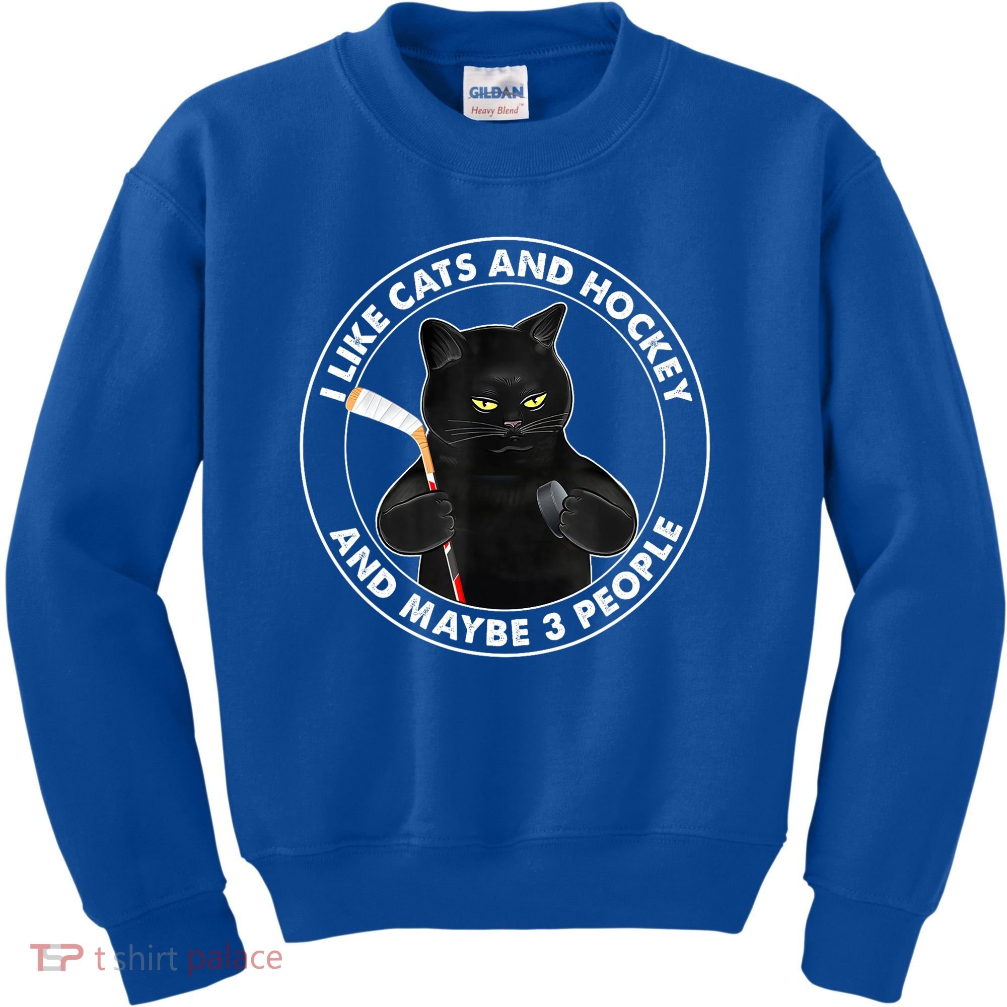 Funny Black Cat I Like Cats And Hockey And Maybe 3 People Gift Kids Sweatshirt