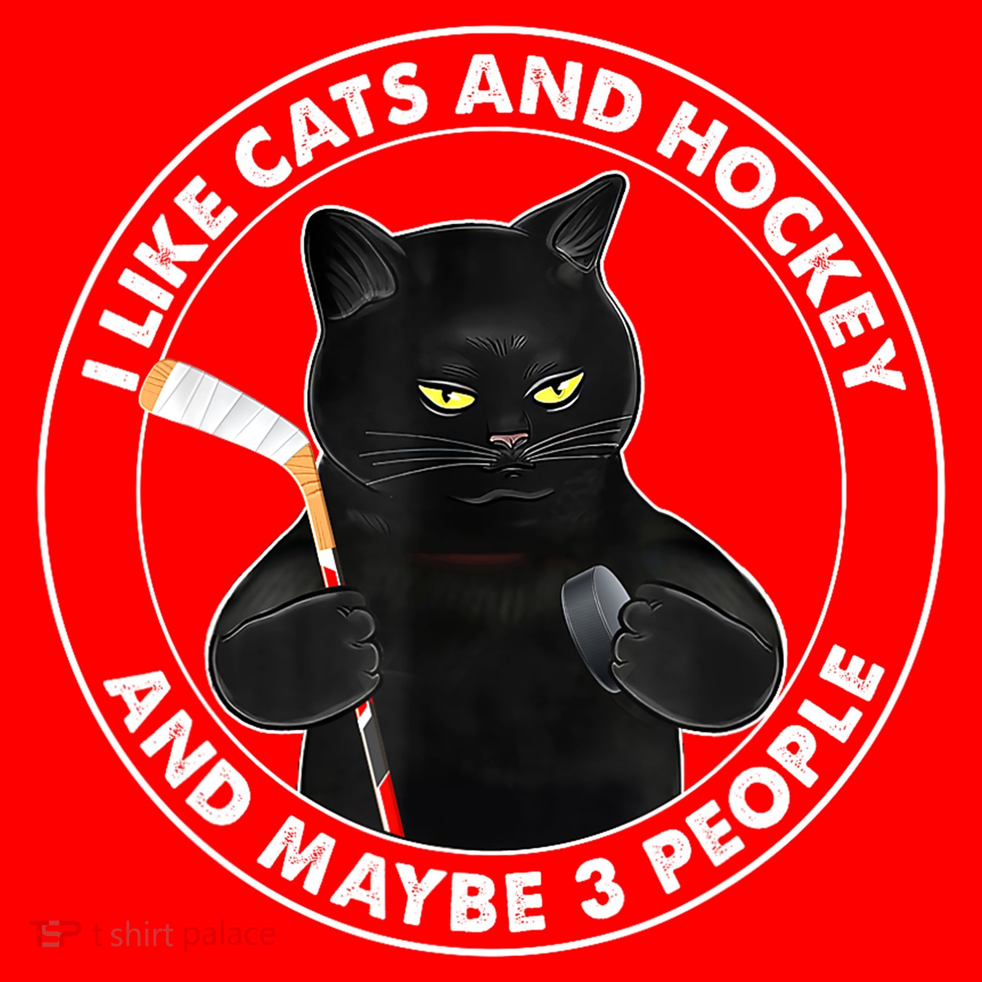 Funny Black Cat I Like Cats And Hockey And Maybe 3 People Gift Santa Hat