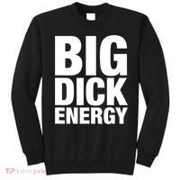 Funny Big Dick Energy Gift BDE Adult Humor Meme Workout Ego Flex Bro Gift Sweatshirt thumb 0