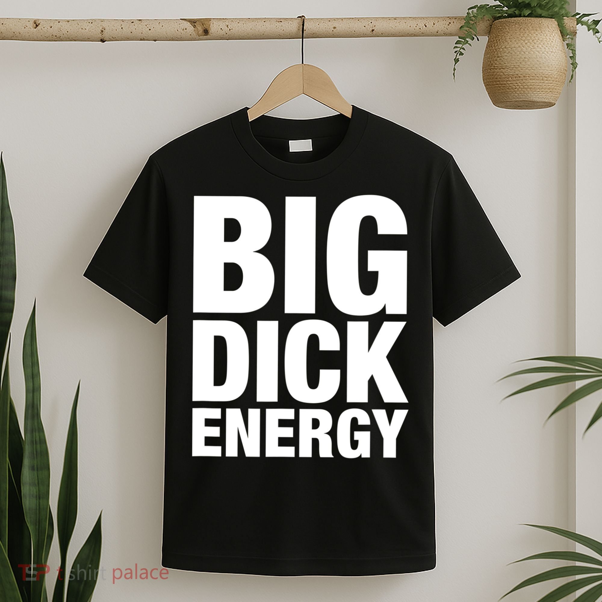 Funny Big Dick Energy Gift BDE Adult Humor Meme Workout Ego Flex Bro Gift T-Shirt