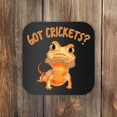 Funny Bearded Dragon Got Crickets Lizard Reptile Herpetology Coaster
