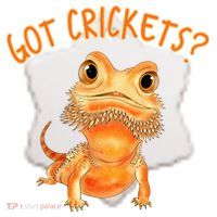 Funny Bearded Dragon Got Crickets Lizard Reptile Herpetology Ceramic Ornament thumb 2