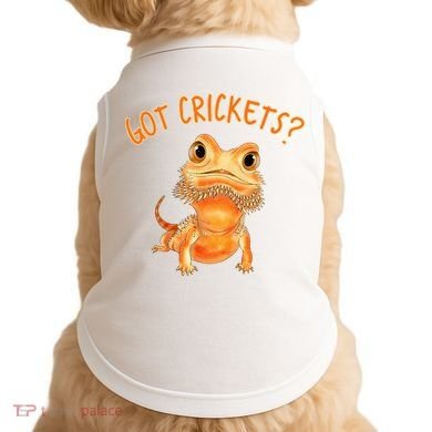 Funny Bearded Dragon Got Crickets Lizard Reptile Herpetology Doggie Tank
