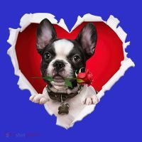 French Bulldog Dog Rose Heart Valentines Day Couple Gift T-Shirt thumb 7
