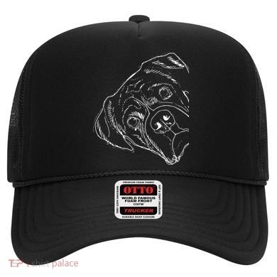 Funny Boxer Dog Hat
