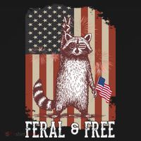 Feral But Free Raccoon July 4th Patriotic For Family Women's Hoodie thumb 2
