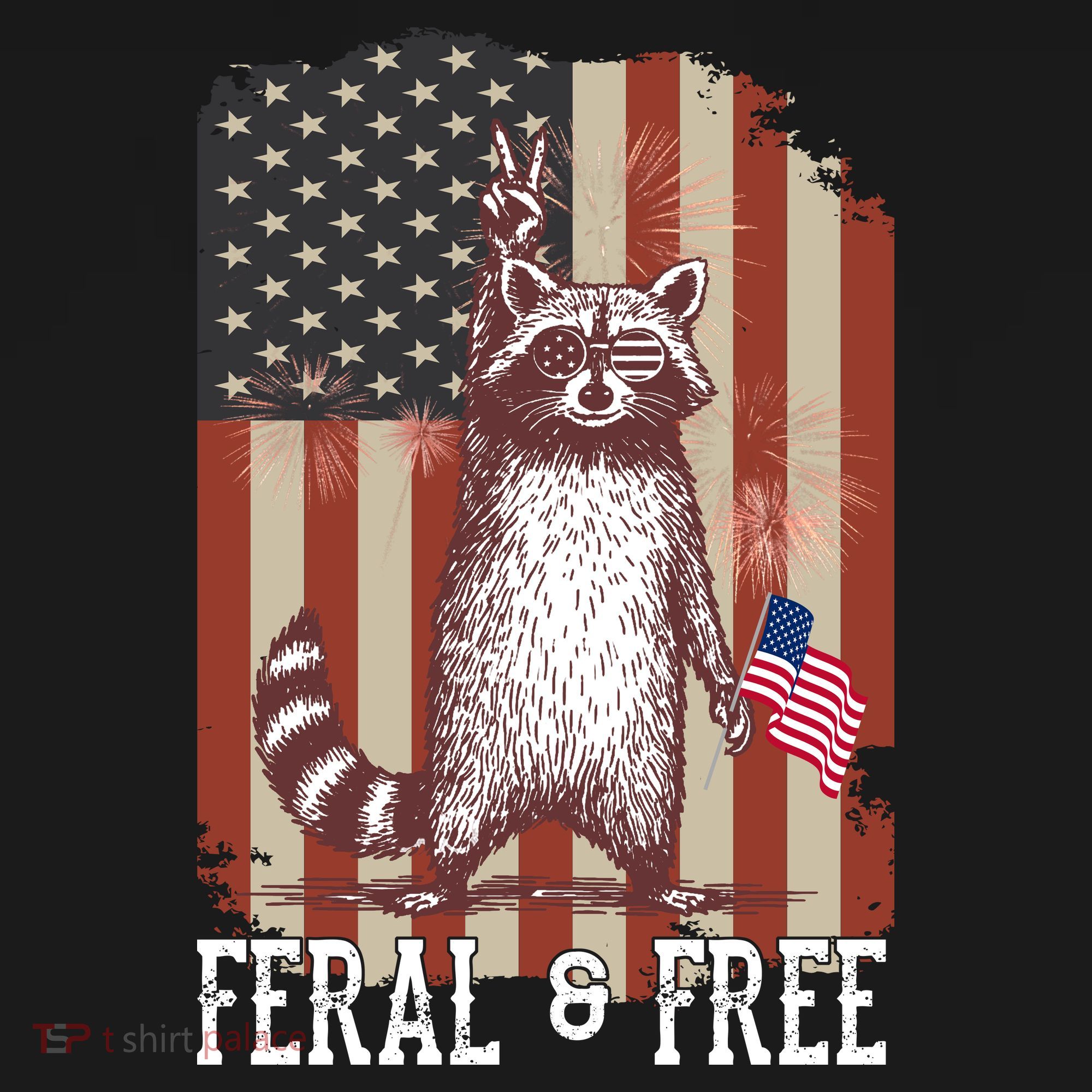 Feral But Free Raccoon July 4th Patriotic For Family Women's Hoodie