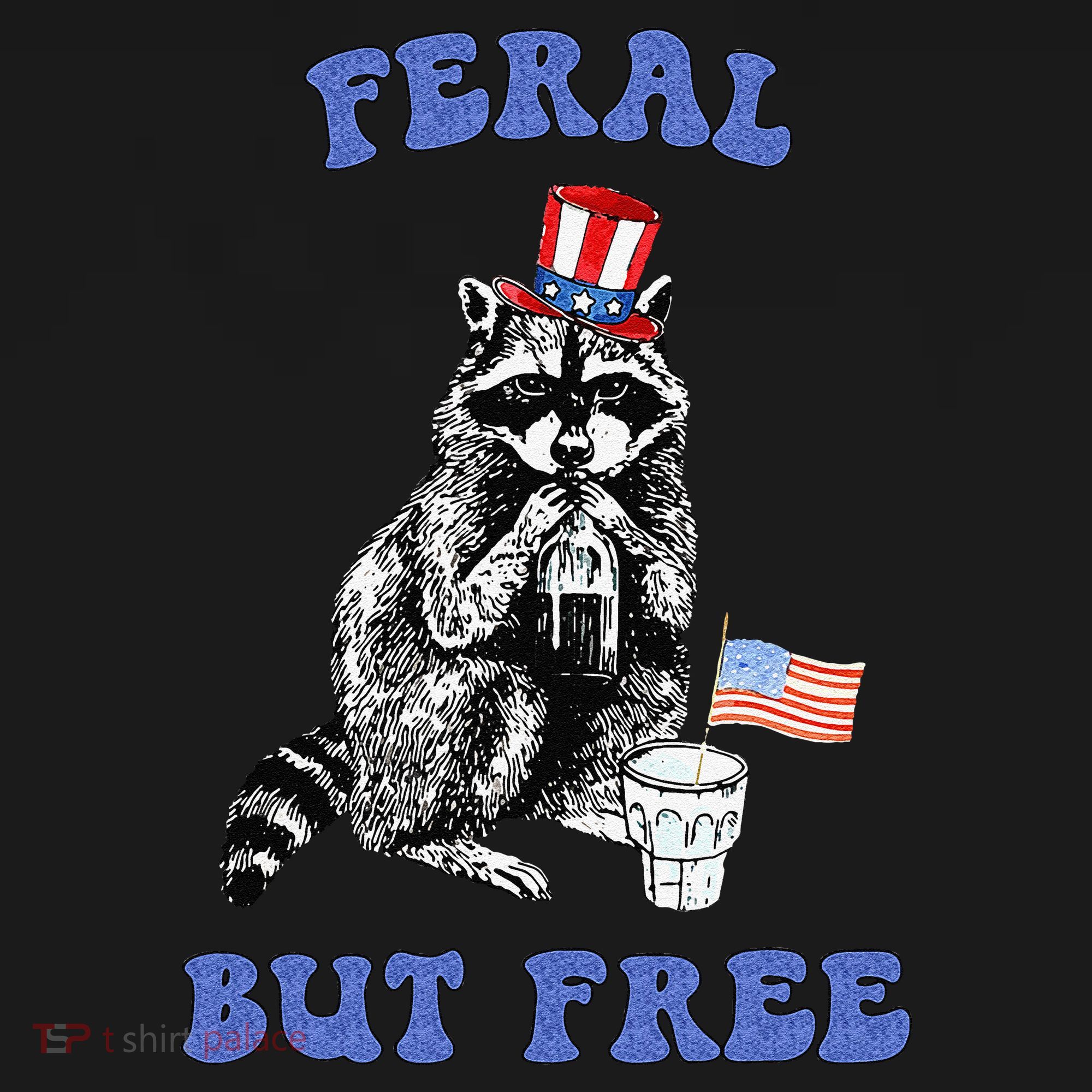 Feral But Free Funny 4th Of July Raccoon Independence Day Women's Hoodie
