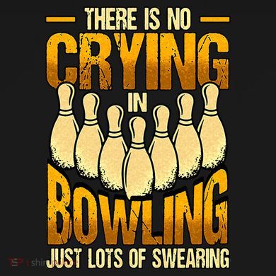 Funny Bowling Visor