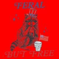 Feral But Free Funny Racoon 4th Of July Santa Hat thumb 1