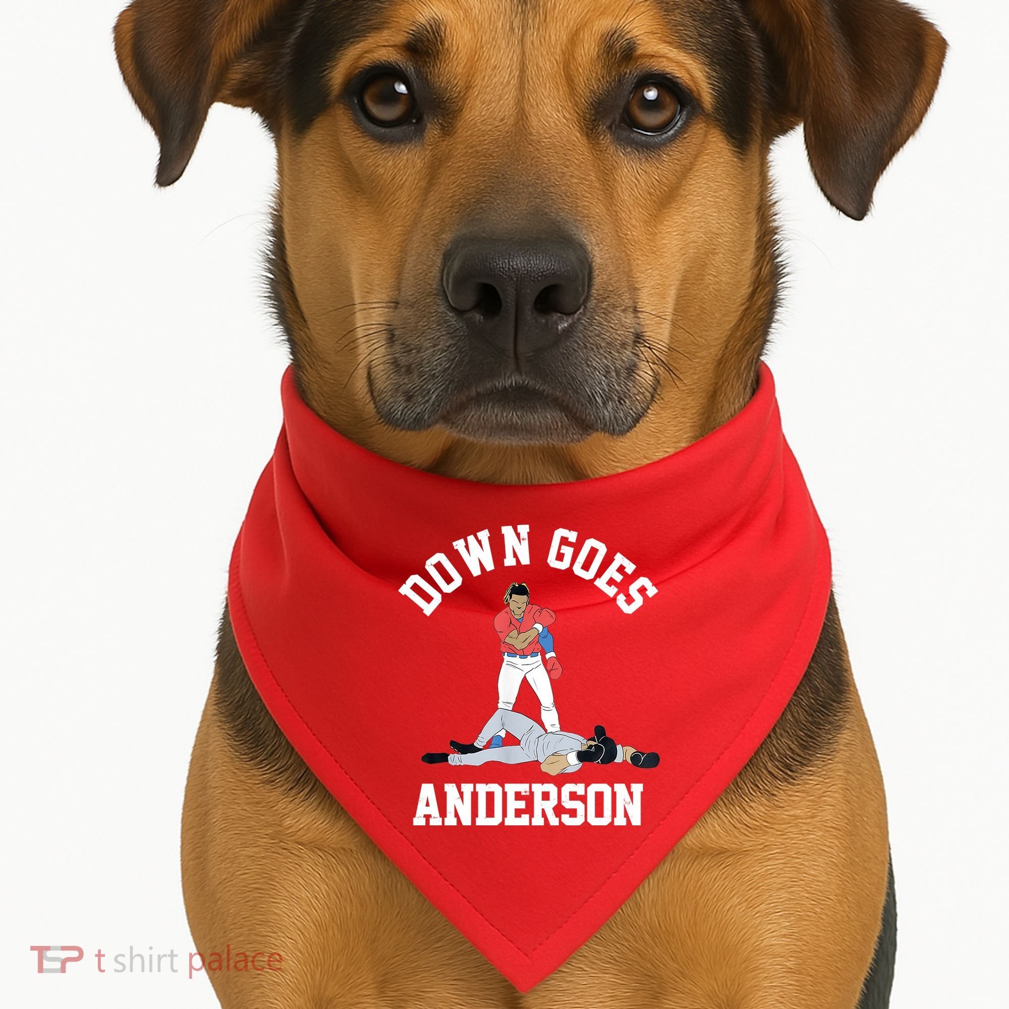 Funny Baseball Fight Down Goes Anderson USA-Made Doggie Bandana