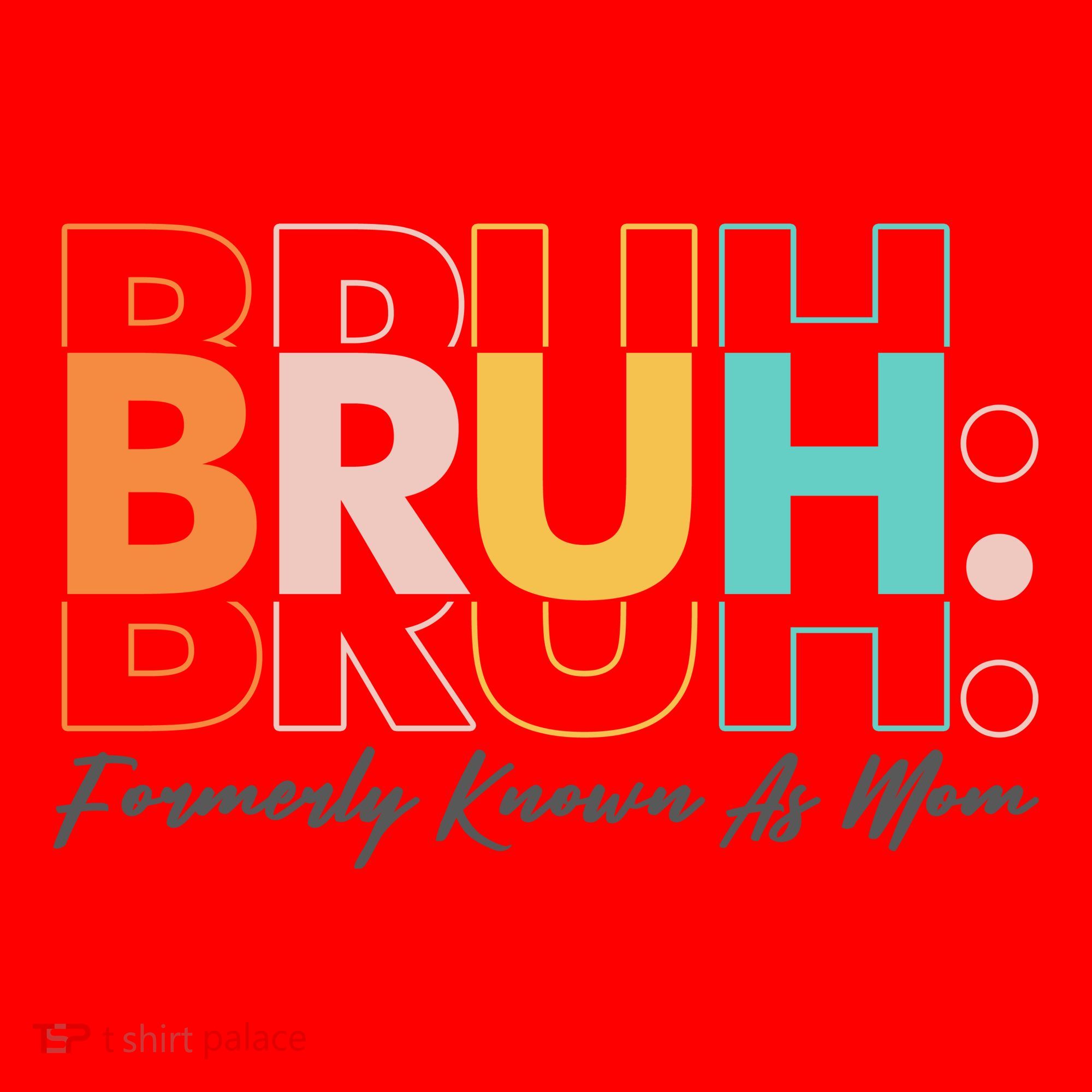 Funny Bruh Formerly Know As Mom Santa Hat
