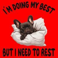 French Bulldog Frenchie Dog Pajamas Sleeping Napping Santa Hat thumb 1