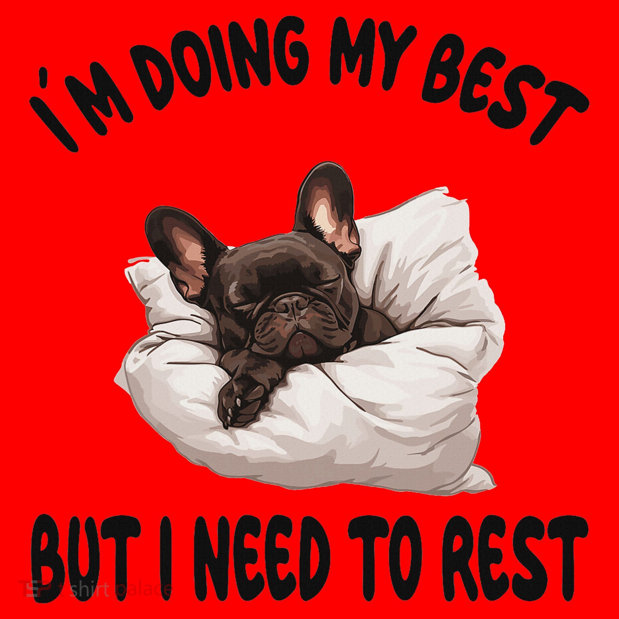 French Bulldog Frenchie Dog Pajamas Sleeping Napping Santa Hat
