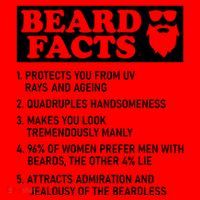 Funny Beard Facts Protects Ageing Makes Manly Bearded Dad Santa Hat thumb 1