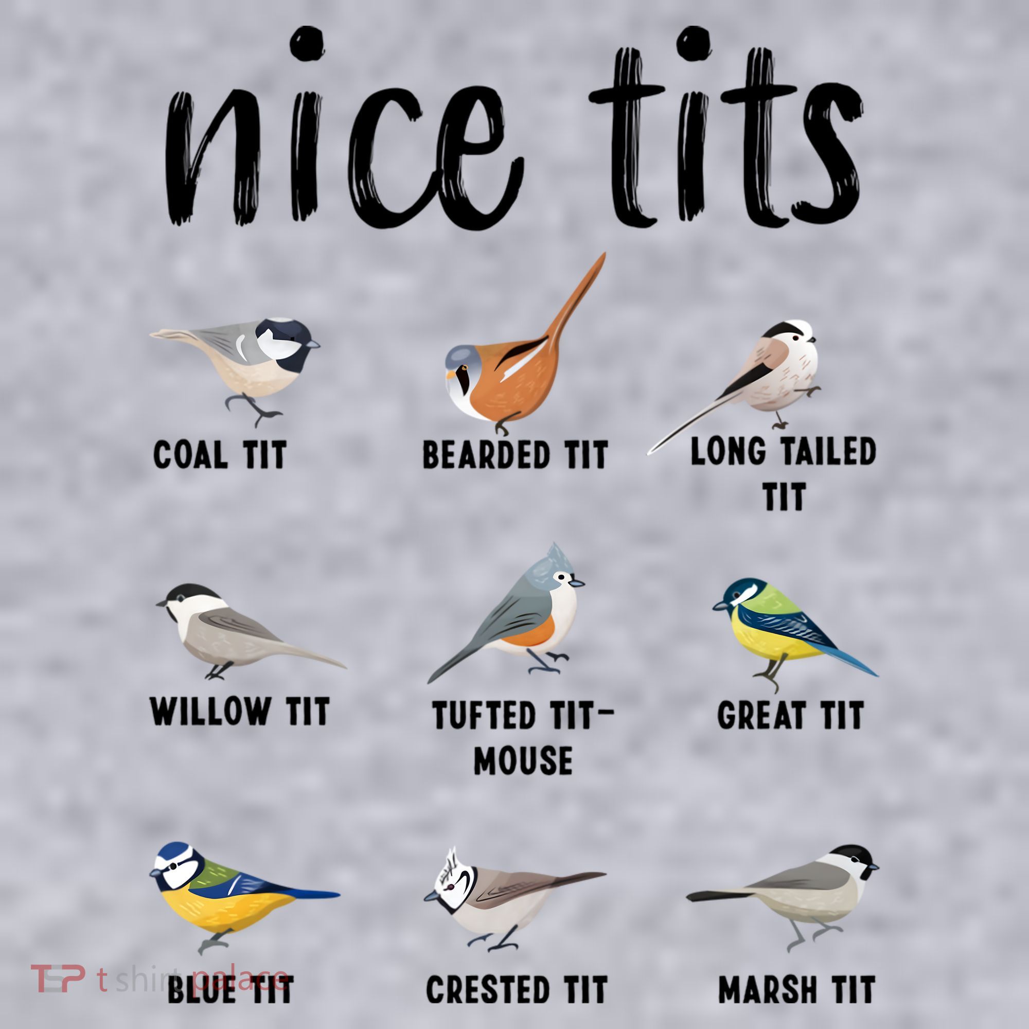 Funny Bird Gift Nice Tits Ornithology Women's Sweatshirt