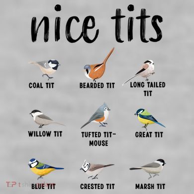 Funny Bird Gift Nice Tits Ornithology Ladies PosiCharge Tri-Blend Wicking Tank
