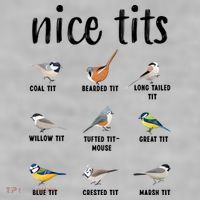 Funny Bird Gift Nice Tits Ornithology Ladies PosiCharge Tri-Blend Wicking Tank thumb 2
