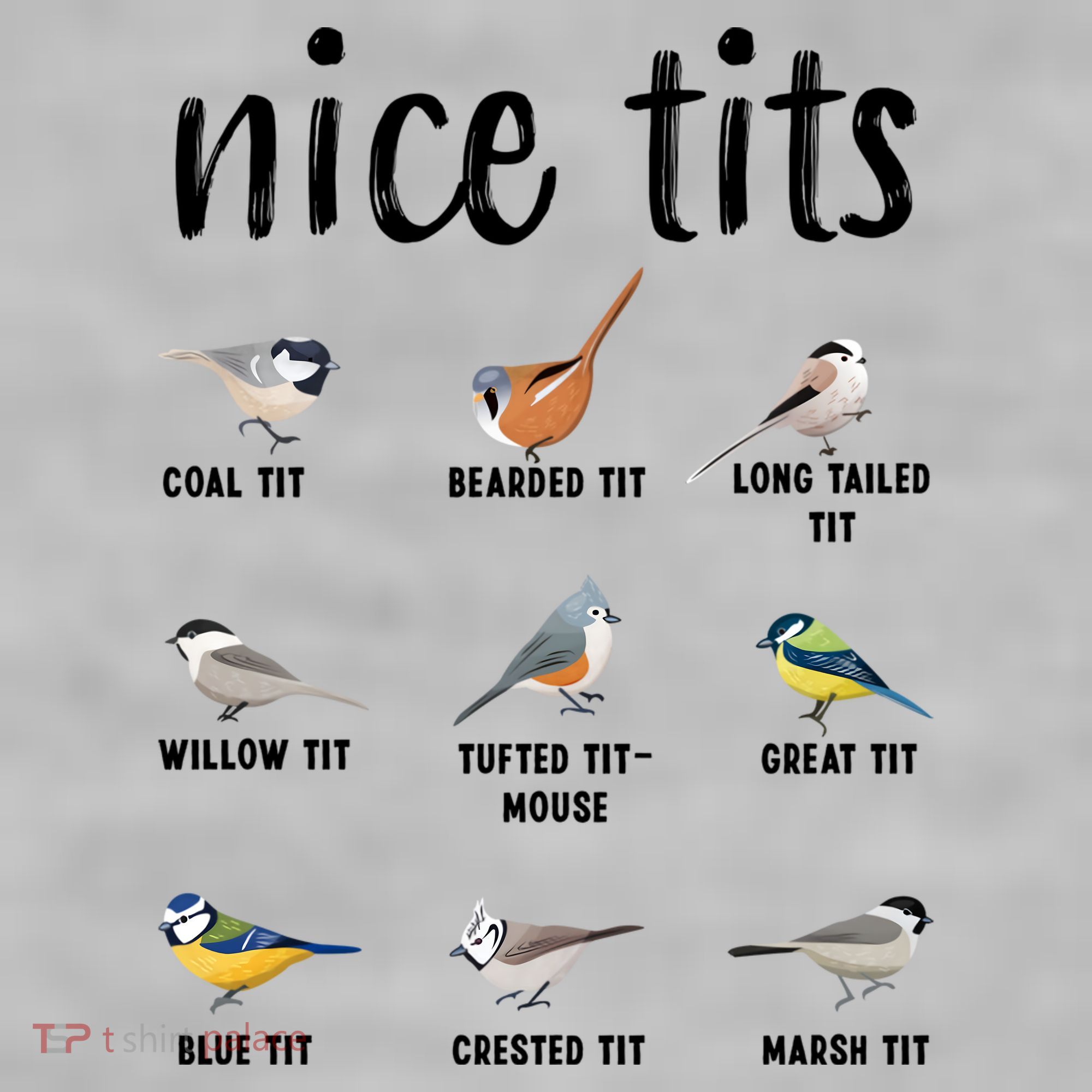 Funny Bird Gift Nice Tits Ornithology Ladies PosiCharge Tri-Blend Wicking Tank