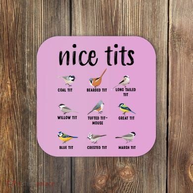 Funny Bird Gift Nice Tits Ornithology Coaster