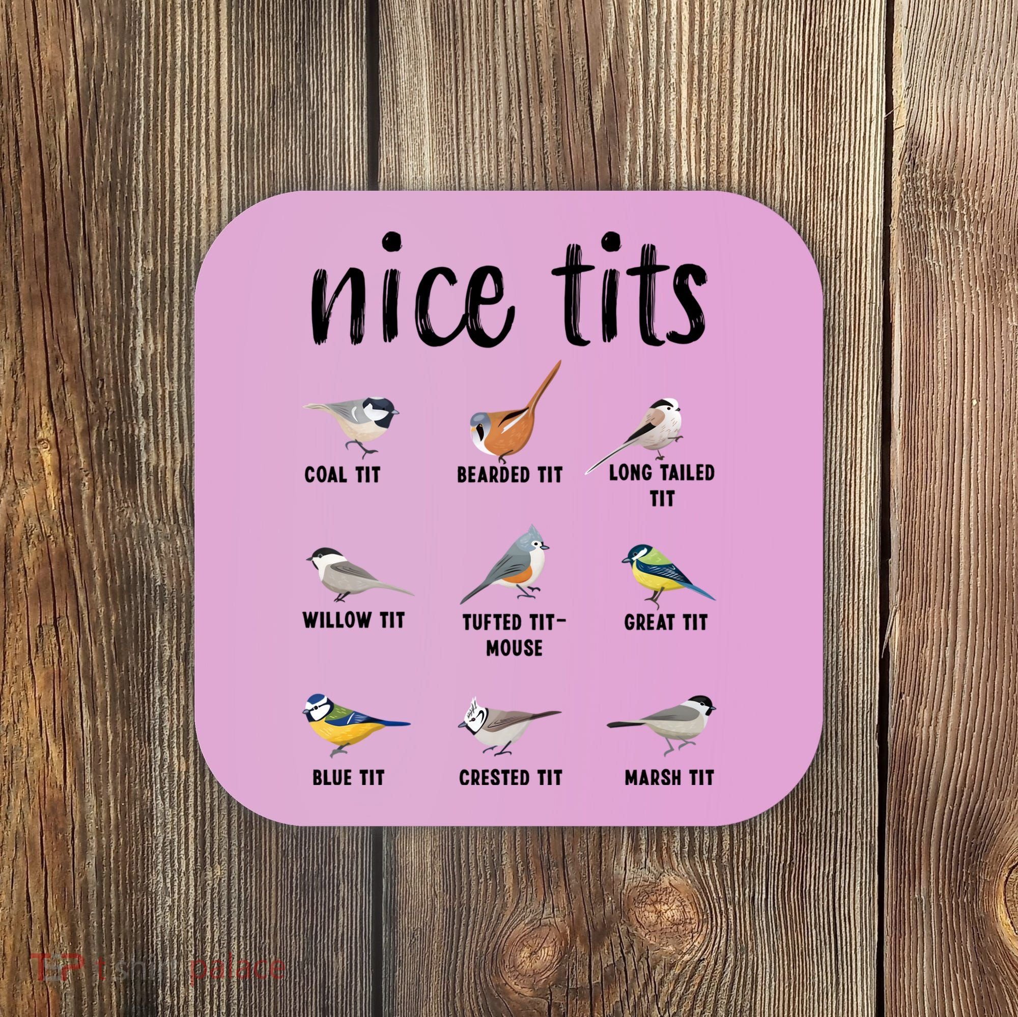Funny Bird Gift Nice Tits Ornithology Coaster