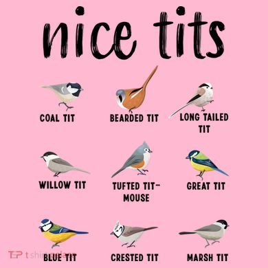 Funny Bird Gift Nice Tits Ornithology Coaster