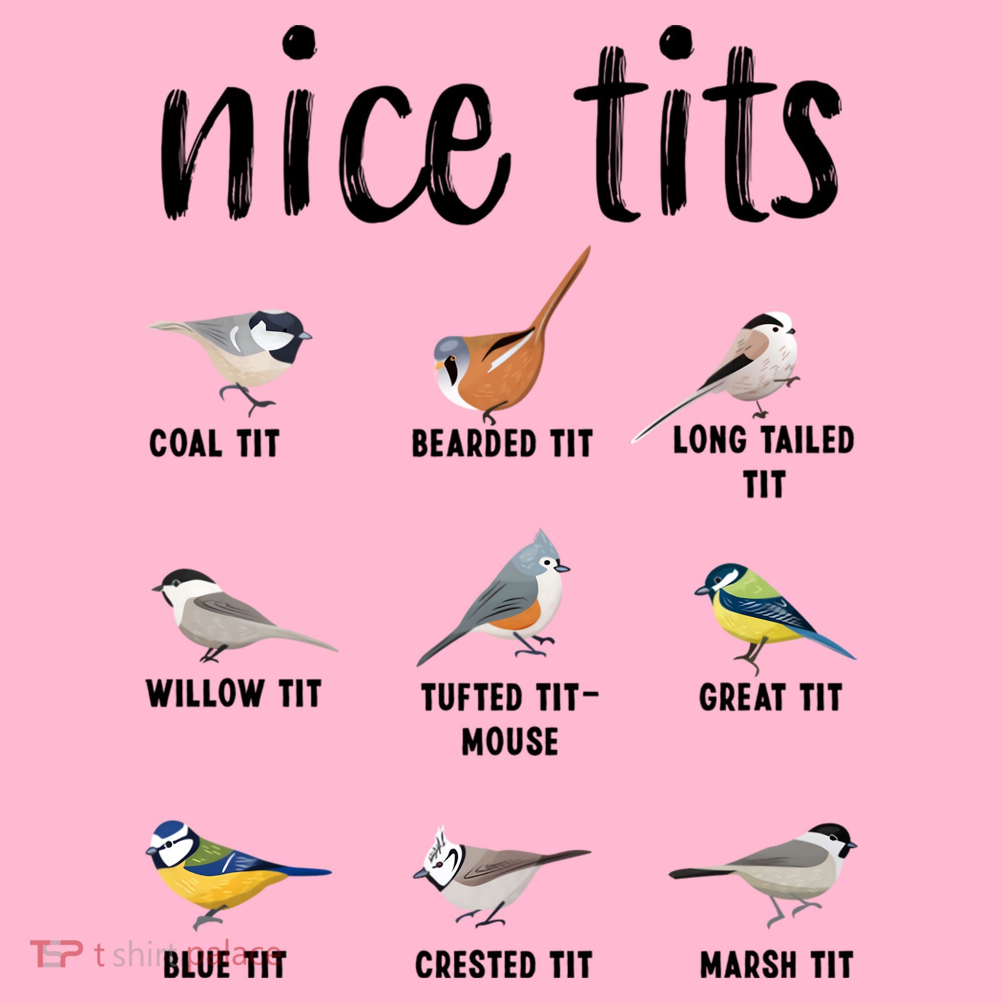 Funny Bird Gift Nice Tits Ornithology Coaster