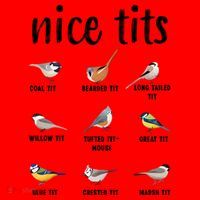 Funny Bird Gift Nice Tits Ornithology Santa Hat thumb 1