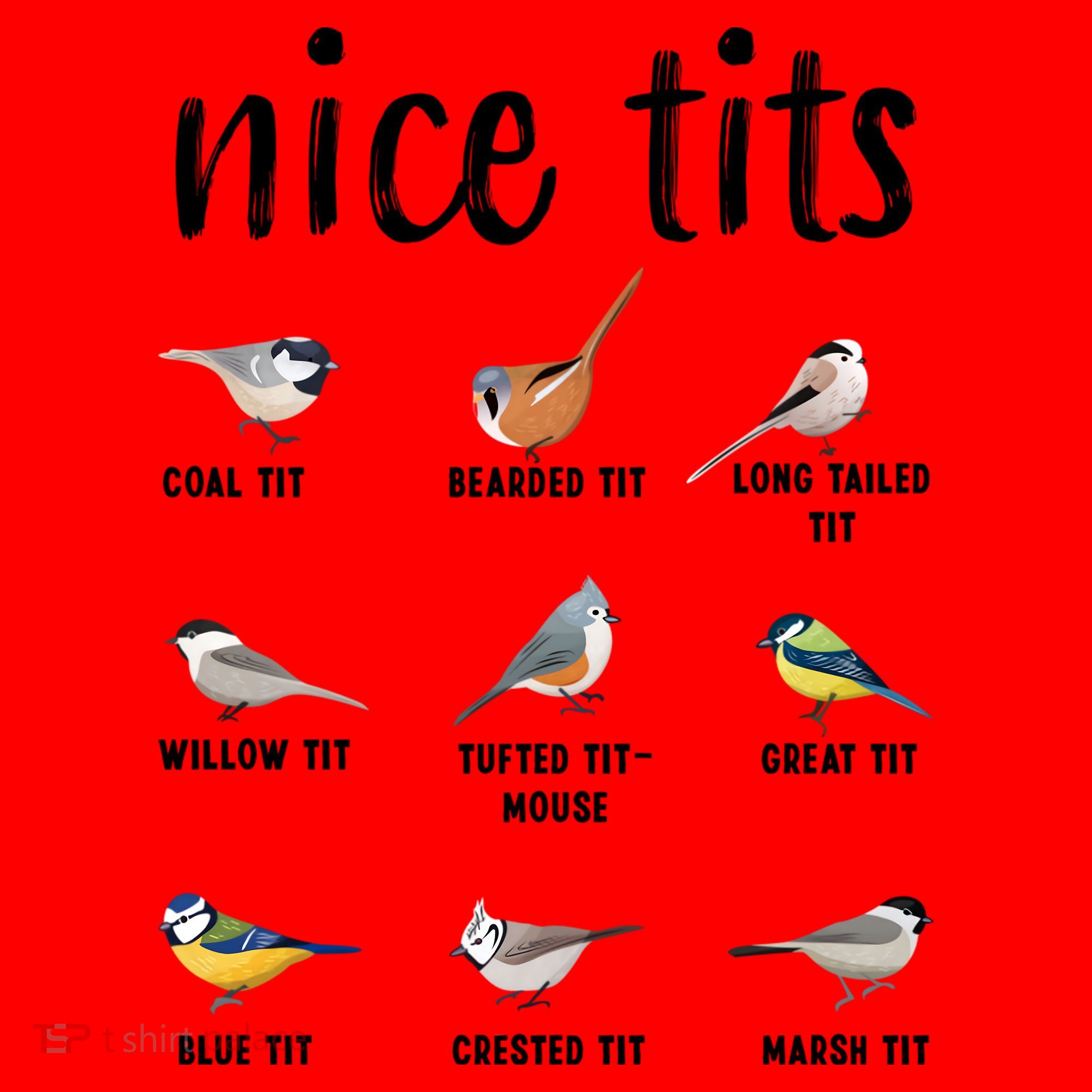 Funny Bird Gift Nice Tits Ornithology Santa Hat