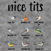 Funny Bird Gift Nice Tits Ornithology Toddler Hoodie thumb 2