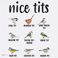 Funny Bird Gift Nice Tits Ornithology Sweatshirt thumb 3