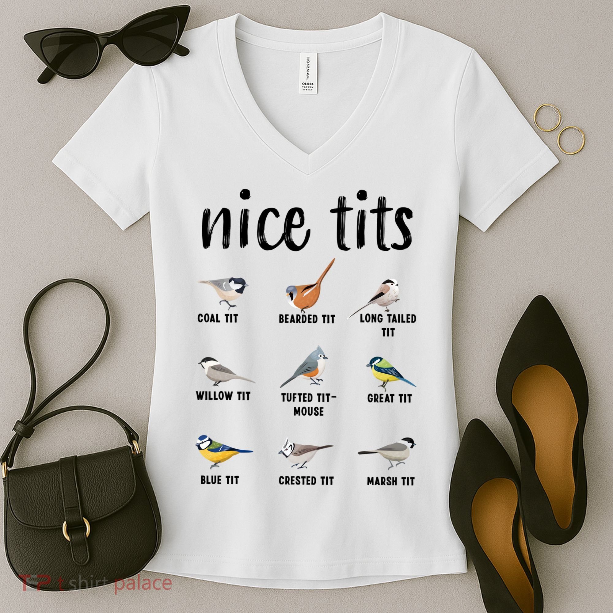 Funny Bird Gift Nice Tits Ornithology Women's V-Neck T-Shirt