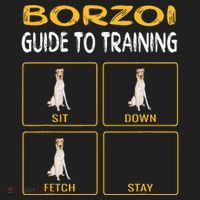 Funny Borzoi Guide To Training Dog Obedience Hat thumb 2