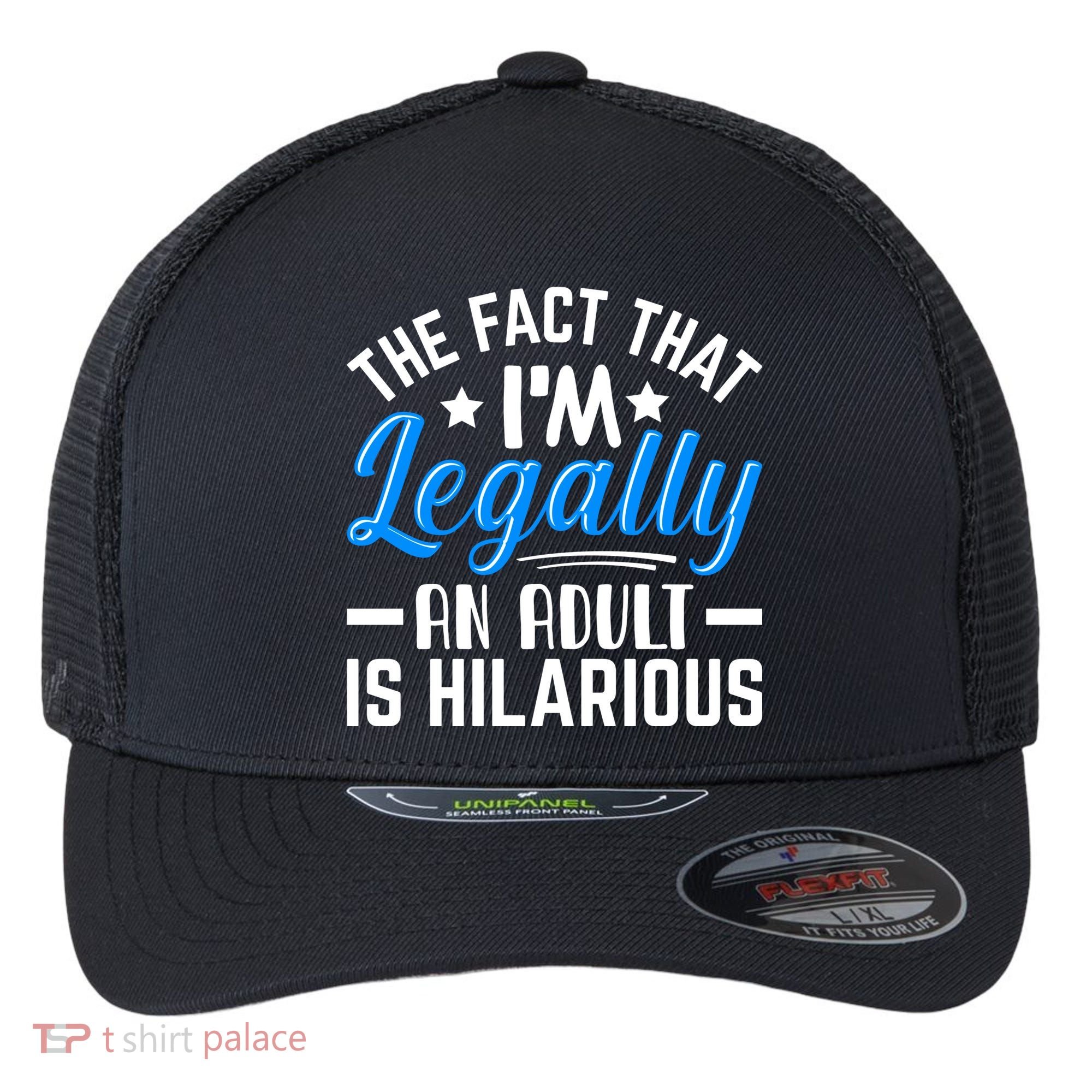 Funny Birthday Humor Bday Celebration Gift For 18th, 30th, 40th Flexfit Unipanel Trucker Cap