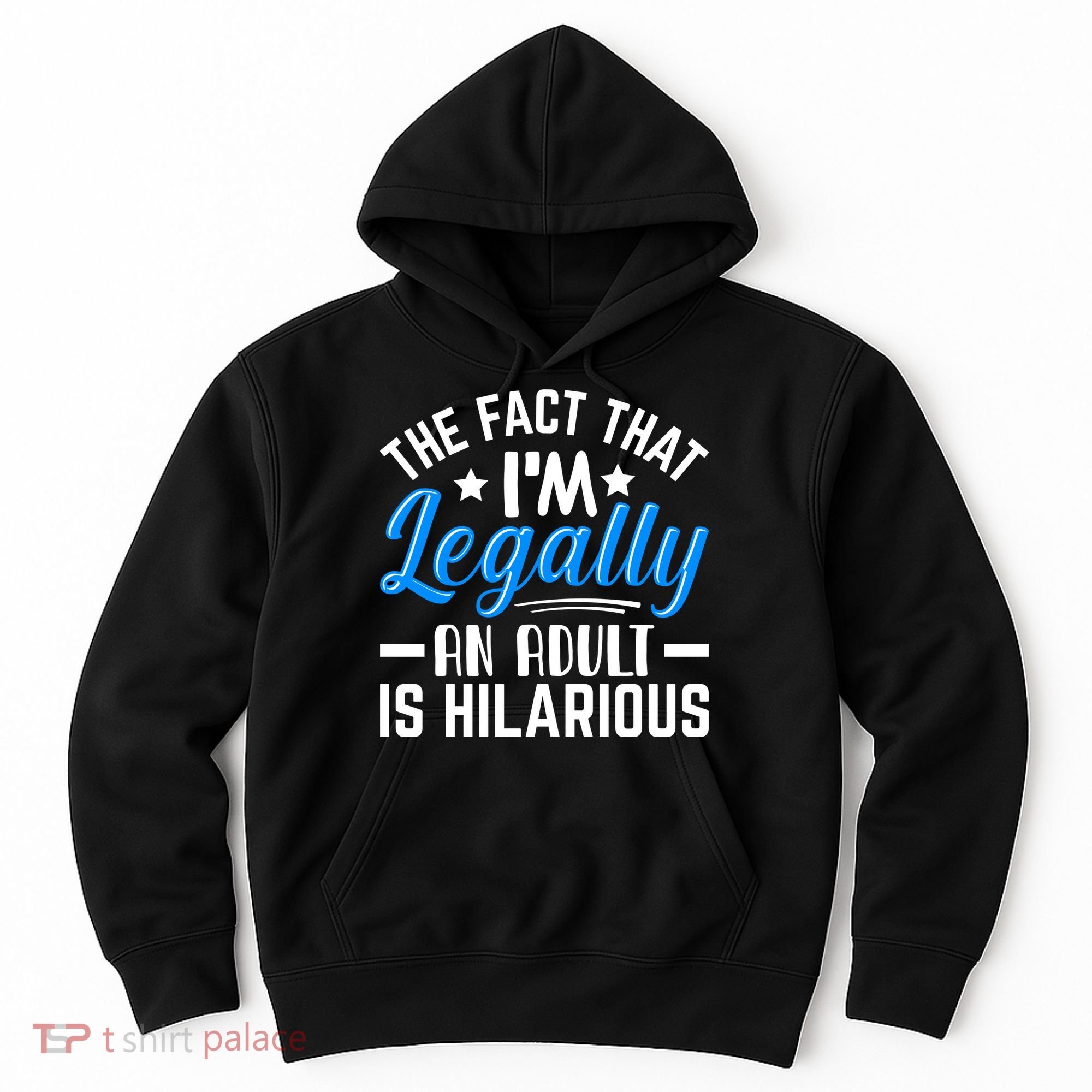 Funny Birthday Humor Bday Celebration Gift For 18th, 30th, 40th Hoodie